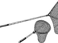 Геленджикская бухта, насадки и самодур, нереис, пескожил, мидия