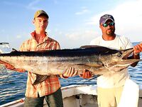 Баваро, Доминикана: троллинг и поверхностные насадки, марлин и дорадо