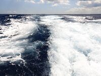 Баваро, Доминикана: троллинг и поверхностные насадки, марлин и дорадо