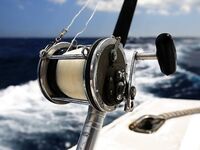 Баваро, Доминикана: троллинг и поверхностные насадки, марлин и дорадо