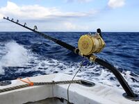 Баваро, Доминикана: троллинг и поверхностные насадки, марлин и дорадо