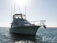 Пунта-Кана кадры с бортов, чартеры, снасти, улыбки, море и разноцветный улов