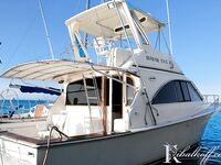 Пунта-Кана кадры с бортов, чартеры, снасти, улыбки, море и разноцветный улов