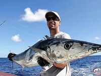 Уверо-Альто троллинг по гряде, ваху небольших размеров в начале сезона