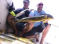 Пунта-Кана семейный выход, 10 дорадо и барракудка, гриль сделали прямо на берегу