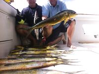 Пунта-Кана семейный выход, 10 дорадо и барракудка, гриль сделали прямо на берегу