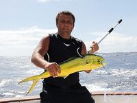 Пляж Бибихагуа, Пунта-Кана: ром, стая дорадо и тяжёлый бой с марлином