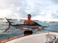 Пляж Бибихагуа, Пунта-Кана: ром, стая дорадо и тяжёлый бой с марлином