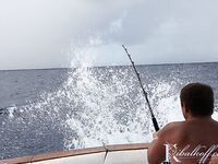 Пляж Бибихагуа, Пунта-Кана: ром, стая дорадо и тяжёлый бой с марлином