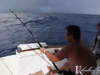 Пляж Бибихагуа, Пунта-Кана: ром, стая дорадо и тяжёлый бой с марлином