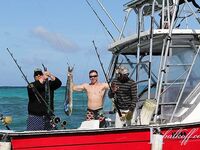 Бибихагуа чартер 4 часа: 6 дорадо, белый марлин сошёл, барракуды отпущены