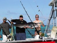 Бибихагуа чартер 4 часа: 6 дорадо, белый марлин сошёл, барракуды отпущены
