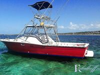 Бибихагуа чартер 4 часа: 6 дорадо, белый марлин сошёл, барракуды отпущены