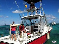 Бибихагуа чартер 4 часа: 6 дорадо, белый марлин сошёл, барракуды отпущены