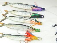 Пунта-Кана троллинг и приманки: по наживке для местного пелагика советы