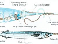 Пунта-Кана троллинг и приманки: по наживке для местного пелагика советы