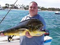 Пунта-Кана троллинг 4 часа: ваху, макрель и дорадо, около 50 кг улов