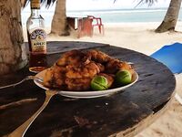 Пунта-Кана троллинг 4 часа: ваху, макрель и дорадо, около 50 кг улов