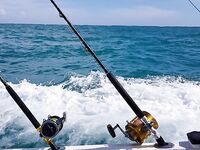 Пунта-Кана троллинг 4 часа: ваху, макрель и дорадо, около 50 кг улов