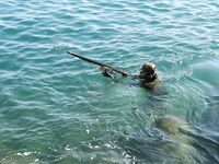 Шри-Ланка подводная охота и рыбалка, горбыль и ставрида, ружьё коротыш