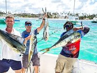 Пунта-Кана: 6 махи, 1 барракуда, марлин не подошёл - отчёт Шерлока???