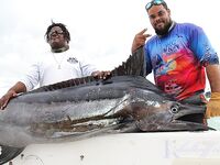 Доминикана, Уберо Альто: выход на махи и барракуду на Шерлоке???