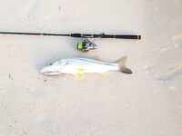 Морская рыбалка в Пунта-Кане: поппер, снук и быстрые катушки в работу