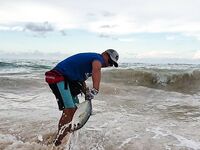 Морская рыбалка в Пунта-Кане: поппер, снук и быстрые катушки в работу