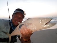 Морская рыбалка в Пунта-Кане: поппер, снук и быстрые катушки в работу