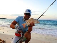 Морская рыбалка в Пунта-Кане: поппер, снук и быстрые катушки в работу