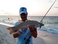 Морская рыбалка в Пунта-Кане: поппер, снук и быстрые катушки в работу