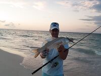 Морская рыбалка в Пунта-Кане: поппер, снук и быстрые катушки в работу