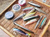 Коралловые плиты Хургады: первый опыт, экип и снасти другого калибра