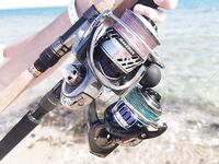 Коралловые плиты Хургады: первый опыт, экип и снасти другого калибра