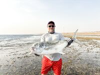 Коралловые карманы Макади: и такая рыбка попадается тут на мелководье