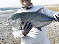 Коралловые карманы Макади: и такая рыбка попадается тут на мелководье