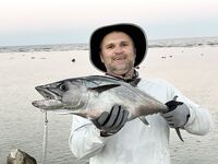 Коралловые карманы Макади: и такая рыбка попадается тут на мелководье