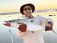 Коралловые карманы Макади: и такая рыбка попадается тут на мелководье