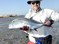 Риф у пирса Лабранда: что за рыбка, клюёт на рассветном меляке