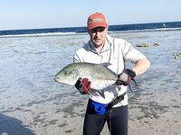 Риф у пирса Лабранда: что за рыбка, клюёт на рассветном меляке