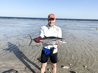 Риф у пирса Лабранда: что за рыбка, клюёт на рассветном меляке