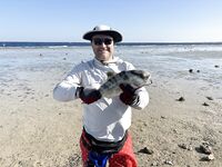 Риф у пирса Лабранда: что за рыбка, клюёт на рассветном меляке