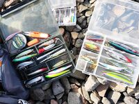 Морская рыбалка в Хургаде: Calimera, мысок и насыпной полуостров для утра