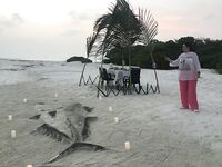 Мальдивы (Август 2021) - рыбалка с лодки, напарники, спиннинг, джиг, троллинг, воблеры