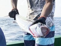 Мальдивы (Август 2021) - рыбалка с лодки, напарники, спиннинг, джиг, троллинг, воблеры