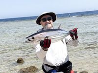 Набережная Саккала, Хургада: кто сейчас клюёт на пилькер у бровки?