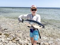 Набережная Саккала, Хургада: кто сейчас клюёт на пилькер у бровки?