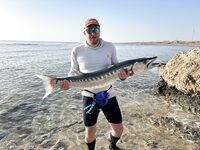 Полуостровок у марины Хургады: вечерний береговой спиннинг по волне