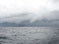 Таиланд, шторм и поверхностники: 7 тунцов с супругой в тяжёлых волнах