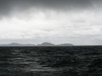 Таиланд, шторм и поверхностники: 7 тунцов с супругой в тяжёлых волнах